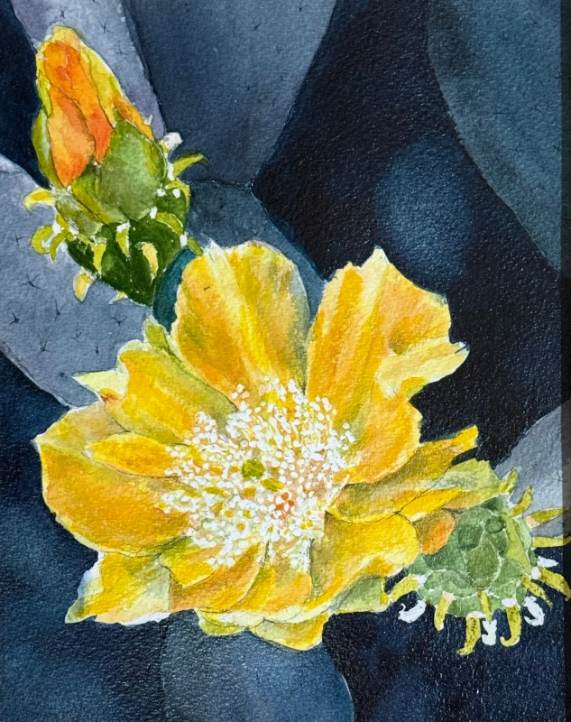 Wenmohs Cactus by artist Pat Flathouse